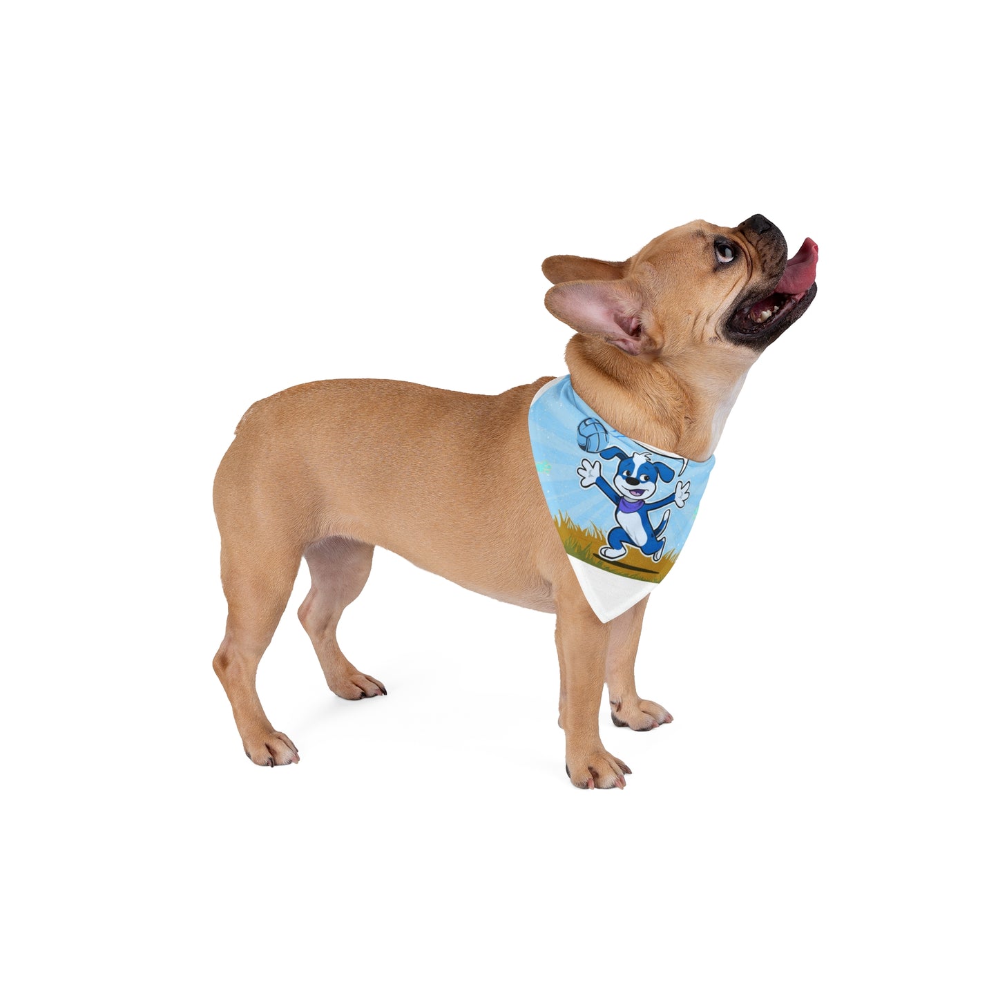 Playful Pet Bandana for Dog lovers, Funny Dog Accessory, Gift for Pet Owners, Cute Bandana for Dogs, Dog Costume